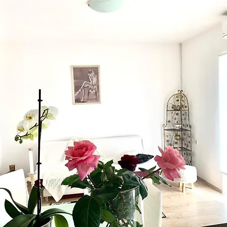 Apartment Magazin Vlasici