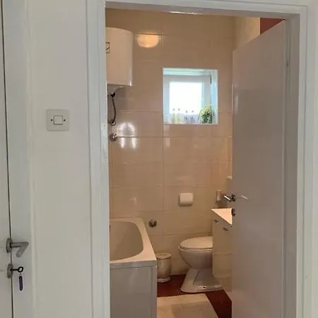 Magazin Apartment