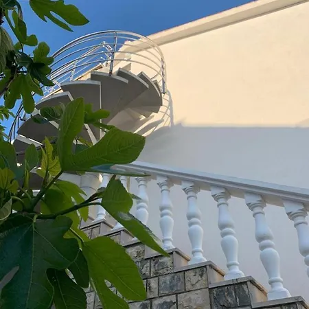 Magazin Apartment Vlasici